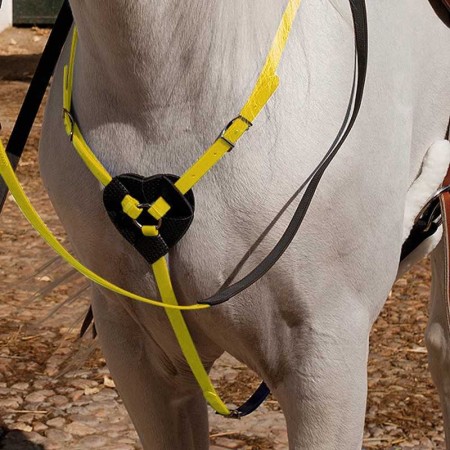 Pitpetral Raid Biothane Groc |Cavall i Genet a Equestrian, Calvet Animal i