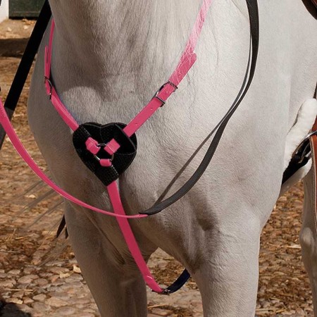 Pitpetral Raid Biothane Rosa |Cavall i Genet a Equestrian, Calvet Animal i