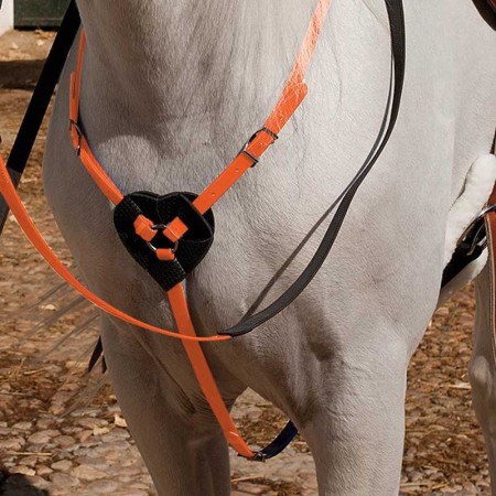 Pitpetral Raid Biothane Taronja |Cavall i Genet a Equestrian, Calvet