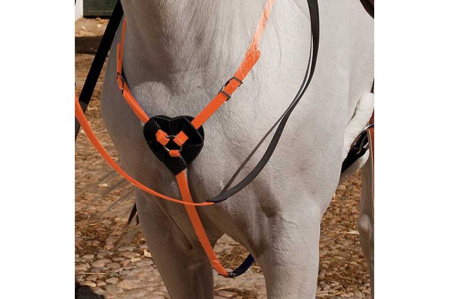 Pechopetral Raid Biothane Naranja | Equestrian. Calvet Animals i Plantes.