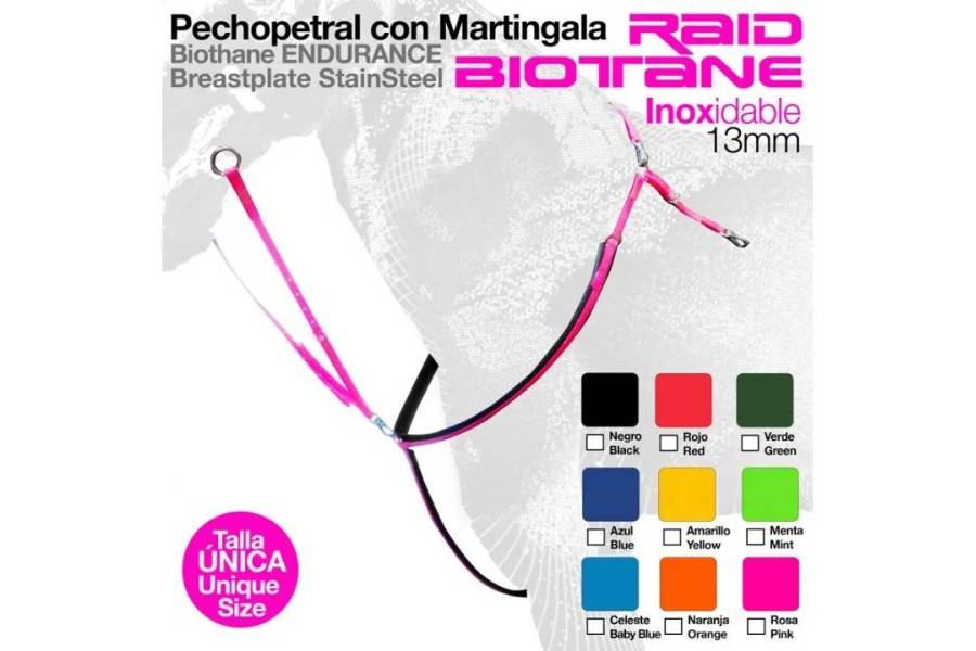 Pitpetral Raid Verd |Cavall i Genet a Equestrian, Calvet Animal i Plantes