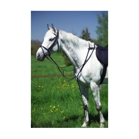 Pechopetral Raid Norton Negro | Equestrian. Calvet Animals i Plantes.