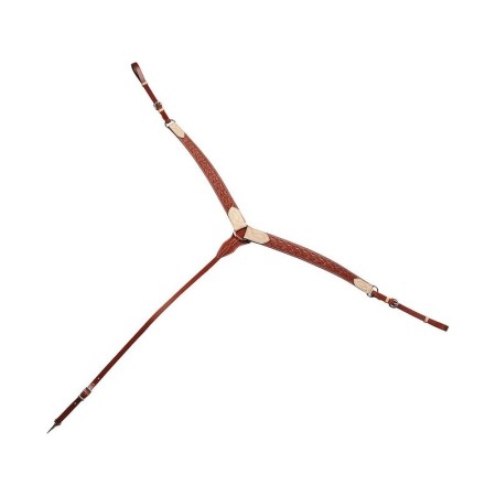 Pitpetral Western Randol's Avellana |Cavall i Genet a Equestrian, Calvet