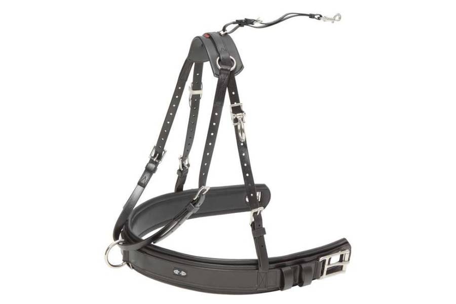Pitpetral Zilco Elite Llimonera Negre |Cavall i Genet a Equestrian, Calvet