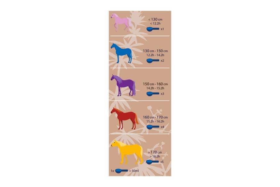 Hilton Herbs Multiflex 1 Kg | Equestrian. Calvet Animals i Plantes.