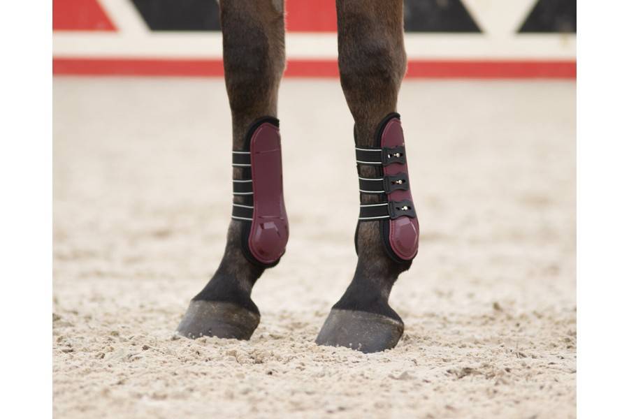 Protector Tendó QHP Champion Burdeos |Cavall i Genet a Equestrian, Calvet