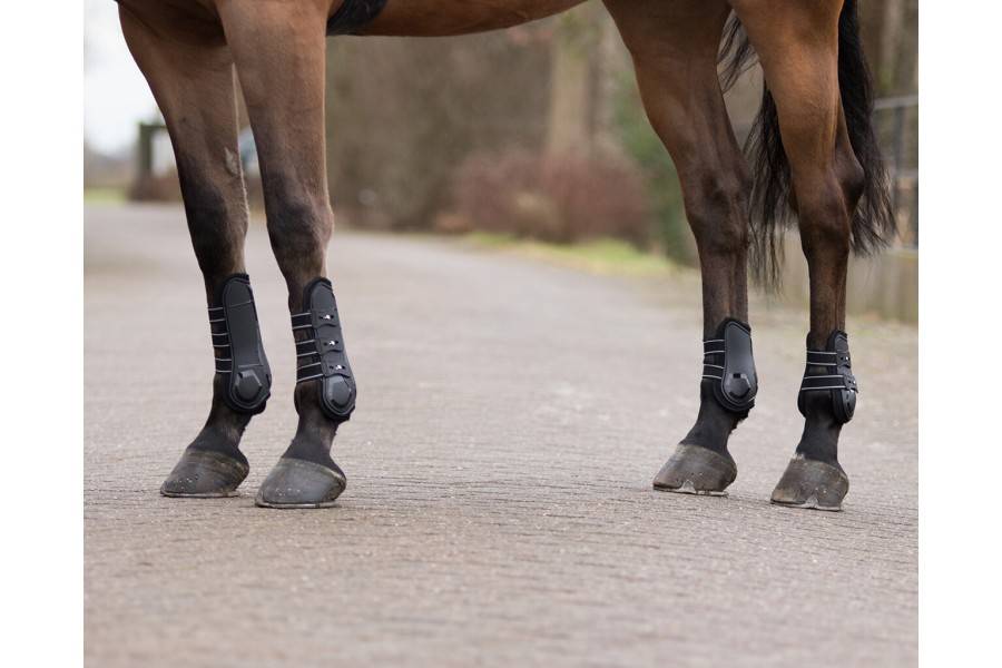 Protector Tendón QHP Champion Negro | Equestrian. Calvet Animals i Plantes.