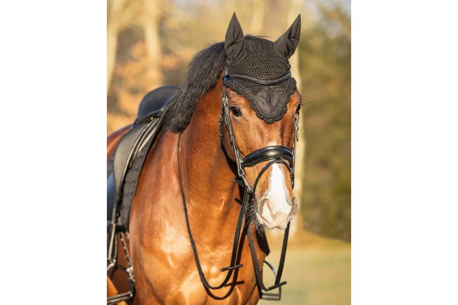 Orejeras QHP Hailyn Negra | Equestrian. Calvet Animals i Plantes.