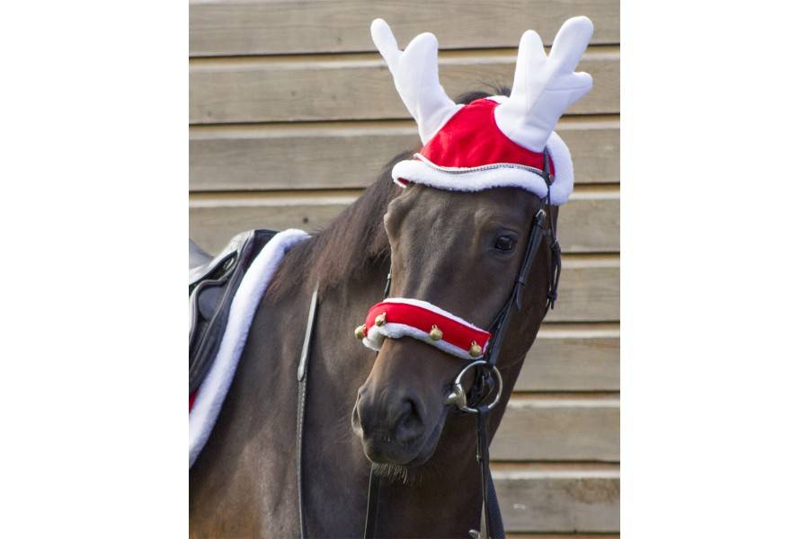 Orejeras QHP Christmas Reno Rojo | Equestrian. Calvet Animals i Plantes.