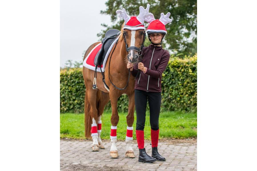 Orelleres QHP Christmas Ren Vermell |Cavall i Genet a Equestrian, Calvet