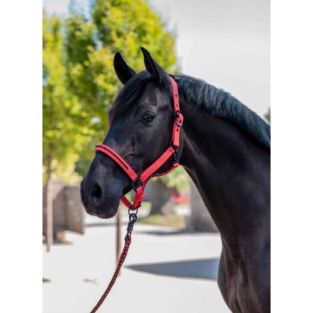 Morralla Quadra HKM Savona Style Vermella |Cavall i Genet a Equestrian 2