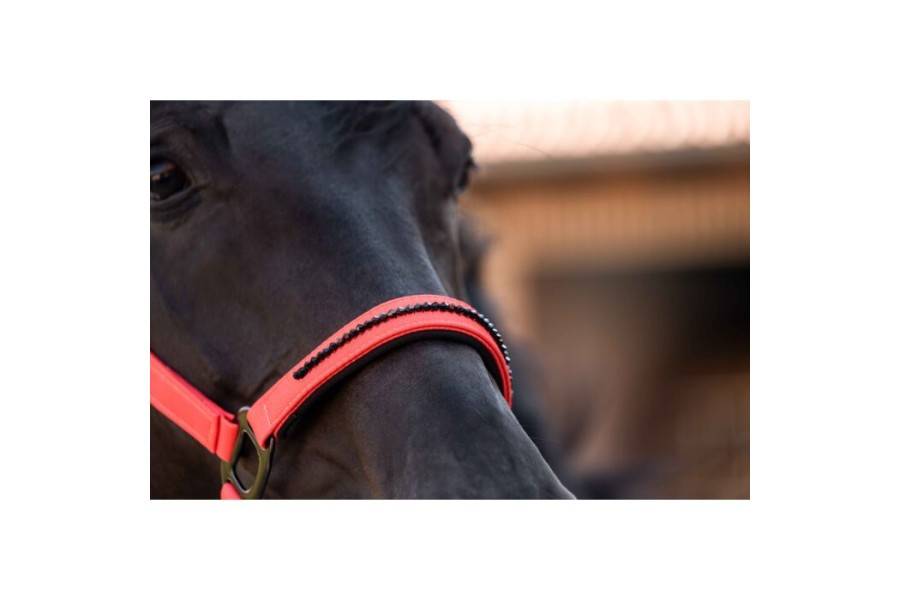 Cabezada Cuadra HKM Savona Style Roja | Equestrian. Calvet Animals i