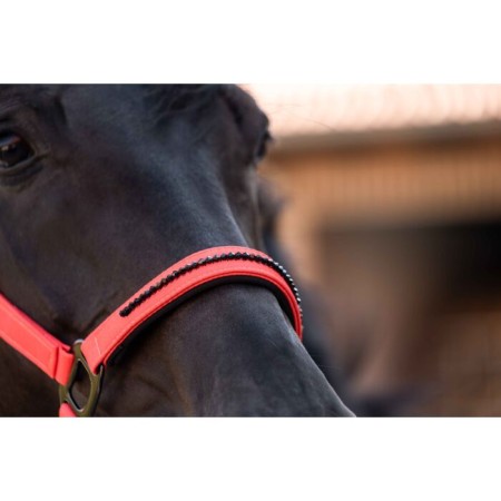 Cabezada Cuadra HKM Savona Style Roja | Equestrian. Calvet Animals i