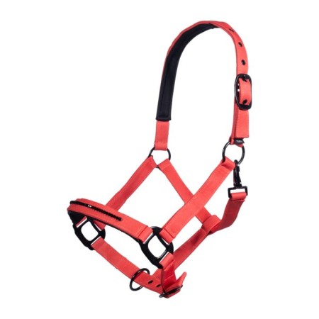 Cabezada Cuadra HKM Savona Style Roja | Equestrian. Calvet Animals i