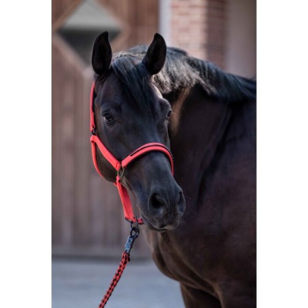 Morralla Quadra HKM Savona Style Vermella |Cavall i Genet a Equestrian