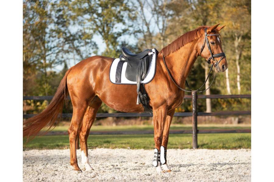 Sudadero Doma Kae Blanco/Negro | Equestrian. Calvet Animals i Plantes.