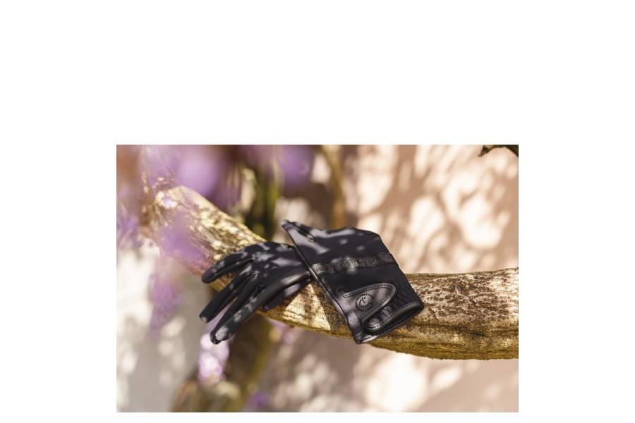 Guants ANKY Techincal ATA242001 Negre |Cavall i Genet a Equestrian, Calvet