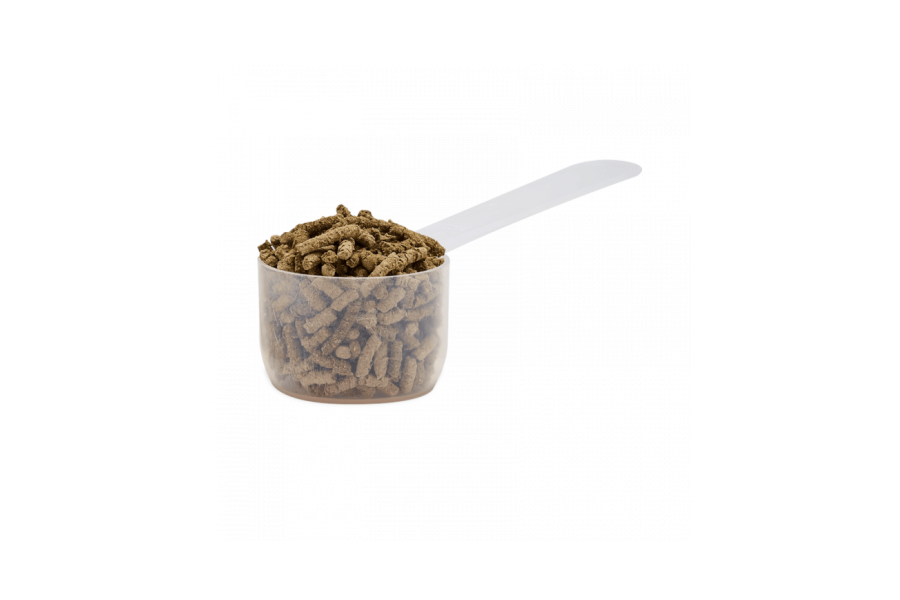 Audevard Ekigard+ | Equestrian. Calvet Animals i Plantes.