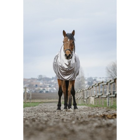Manta Caballo Verano Anti-Eczema Riding World | Equestrian. Calvet Animals
