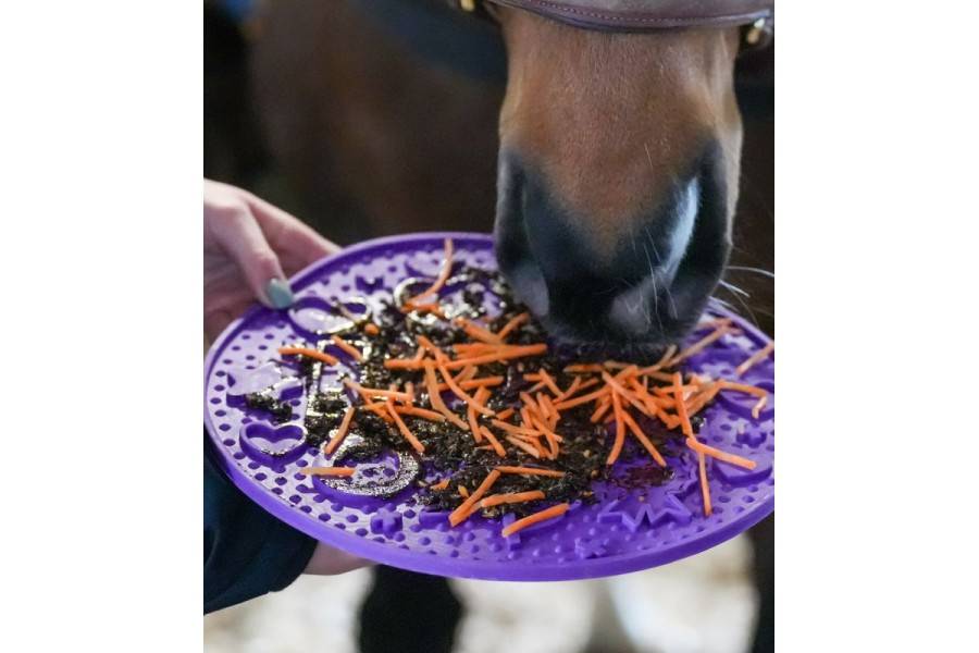 Likit Graze Maze Lila |Cavall i Genet a Equestrian, Calvet Animal i Plantes