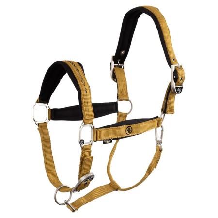 Morralla Quadra BR Elba Harvest Gold |Cavall i Genet a Equestrian, Calvet