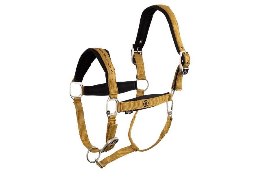 Morralla Quadra BR Elba Harvest Gold |Cavall i Genet a Equestrian, Calvet
