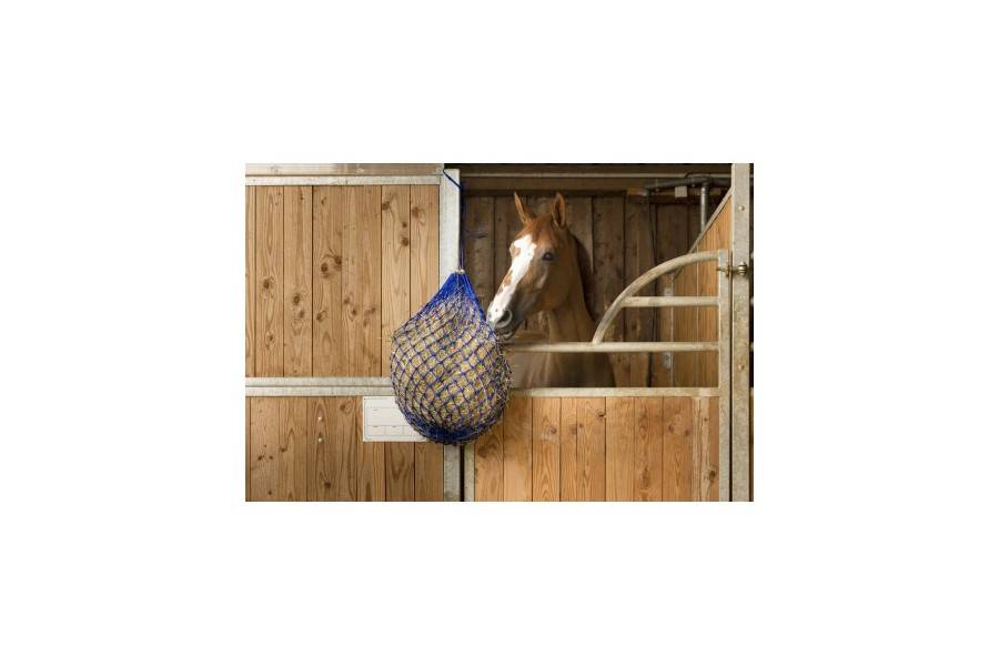 Red Heno Malla Pequeña Azul | Equestrian. Calvet Animals i Plantes.