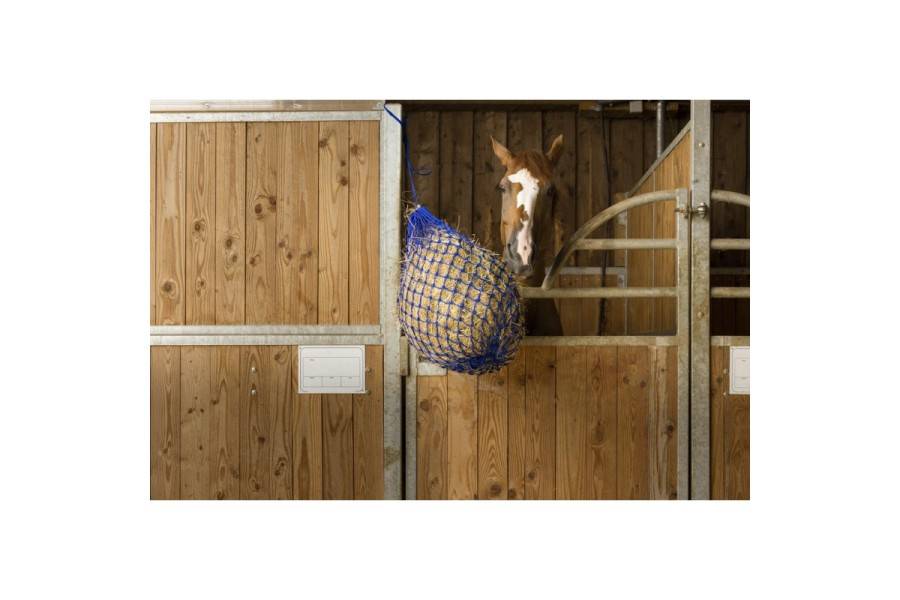 Xarxa Farratge Malla Petita Blava |Cavall i Genet a Equestrian, Calvet