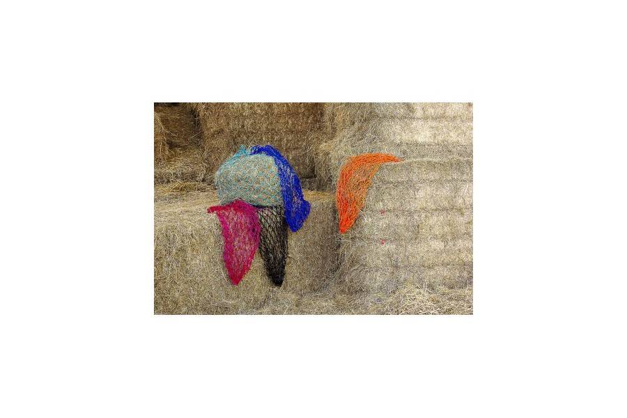 Xarxa Farratge Malla Petita Negra |Cavall i Genet a Equestrian, Calvet