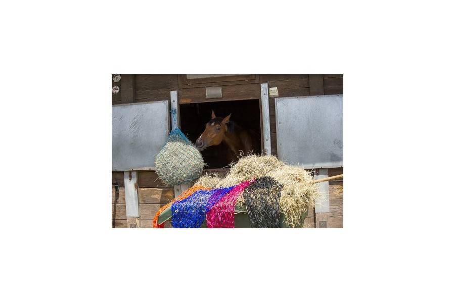 Red Heno Malla Pequeña Turquesa | Equestrian. Calvet Animals i Plantes.