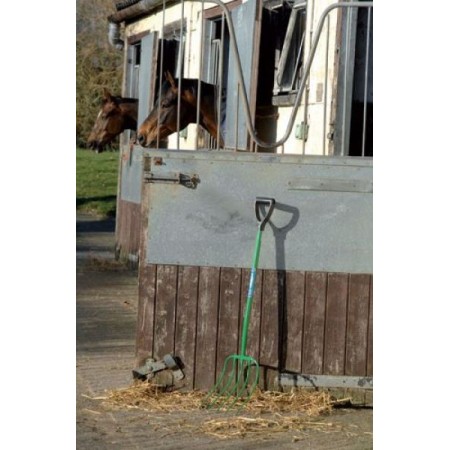 Forca Palla Fynalite |Cavall i Genet a Equestrian, Calvet Animal i Plantes