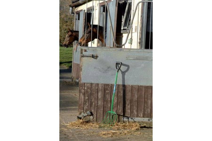 Horca Paja Fynalite | Equestrian. Calvet Animals i Plantes.