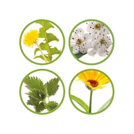 Pavo Dailyfit 4,5 Kg | Equestrian. Calvet Animals i Plantes.