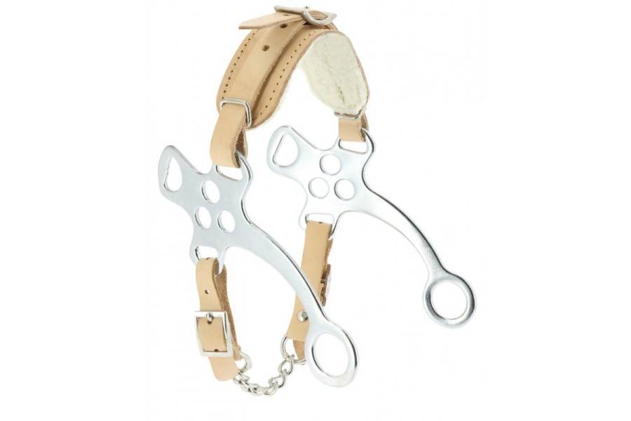 Hackamore Cavall |Cavall i Genet a Equestrian, Calvet Animal i Plantes