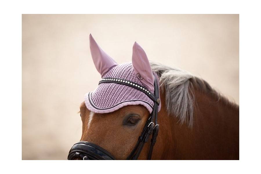 Orelleres BR Eryn Eldelberry |Cavall i Genet a Equestrian, Calvet Animal i