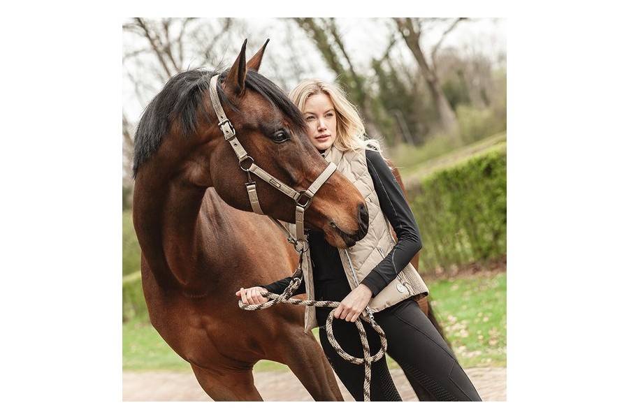 Cabezada Cuadra ANKY + Ramal ATH232001 Greige | Equestrian. Calvet Animals