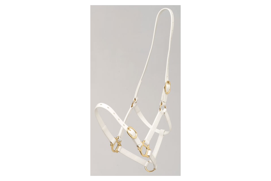 Morralla Quadra Biothane Zilco 19 mm Blanca |Cavall i Genet a Equestrian