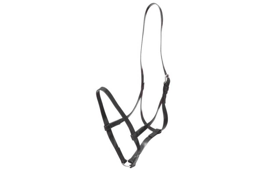 Cabezada Cuadra Biothane Zilco Negra | Equestrian. Calvet Animals i