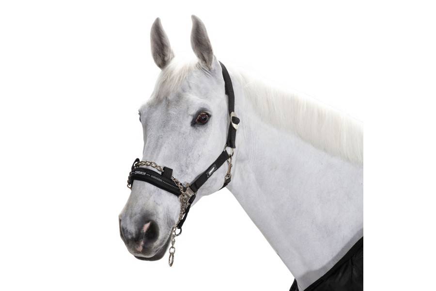 Cabezada Cuadra Eskadron Control Negra | Equestrian. Calvet Animals i