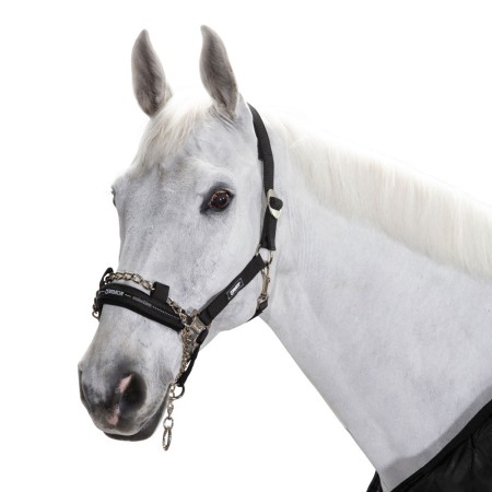 Cabezada Cuadra Eskadron Control Negra | Equestrian. Calvet Animals i