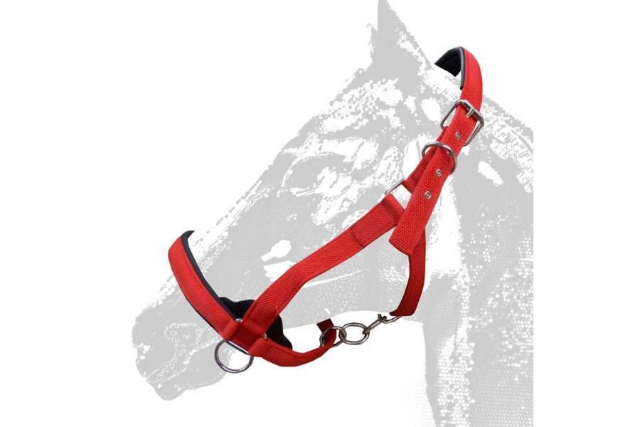 Morralla Quadra Extra Reforçada 290 Vermella |Cavall i Genet a Equestrian