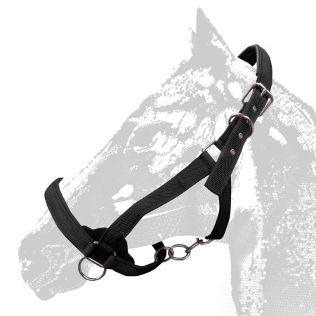 Cabezada Cuadra Extra Reforzada 290 Negra | Equestrian. Calvet Animals i