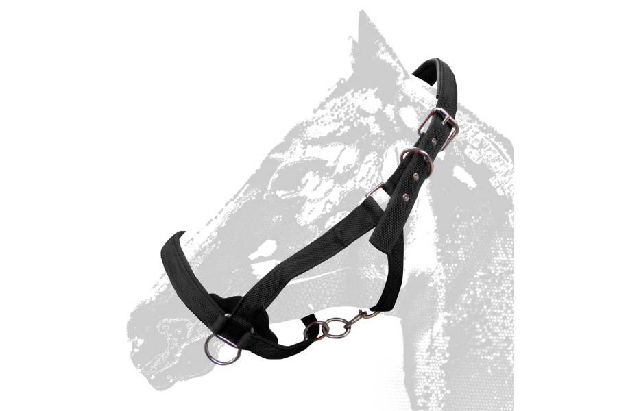 Morralla Quadra Extra Reforçada 290 Negra |Cavall i Genet a Equestrian