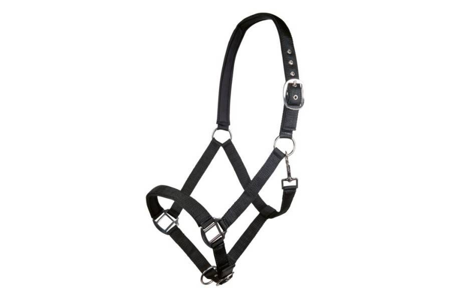 Cabezada Cuadra HKM Charming Negra | Equestrian. Calvet Animals i Plantes.