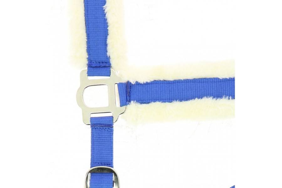 Cabezada Cuadra Norton Confort Lana Azul | Equestrian. Calvet Animals i