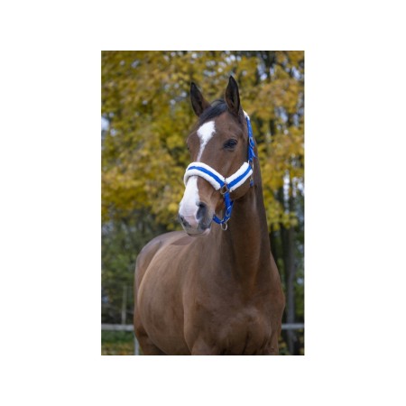 Morralla Quadra Norton Confort Llana Blava |Cavall i Genet a Equestrian