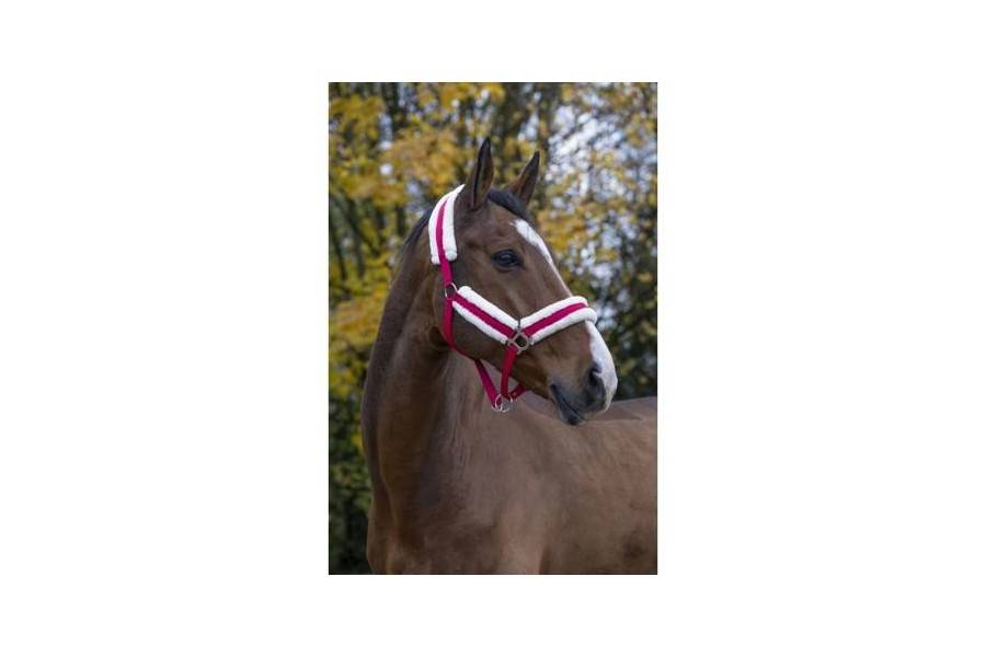 Morralla Quadra Norton Confort Llana Gerd |Cavall i Genet a Equestrian