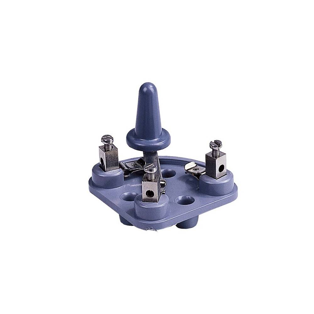 Interruptor Líneas Zar | Equestrian. Calvet Animals i Plantes.