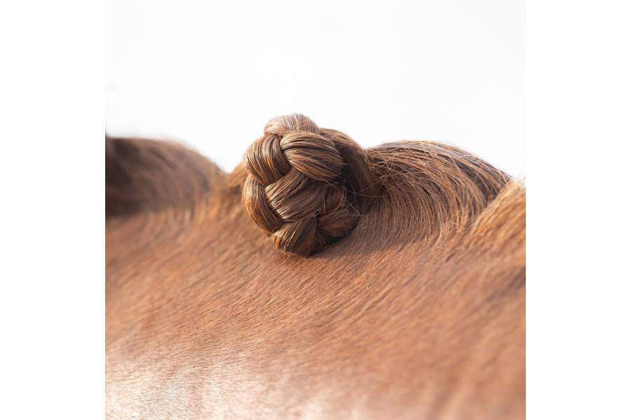 Cera Trenzar QHP | Equestrian. Calvet Animals i Plantes.