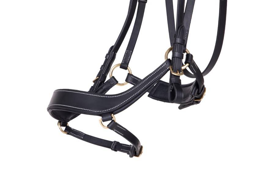 Brida Mun QHP Devi Negra | Equestrian. Calvet Animals i Plantes.